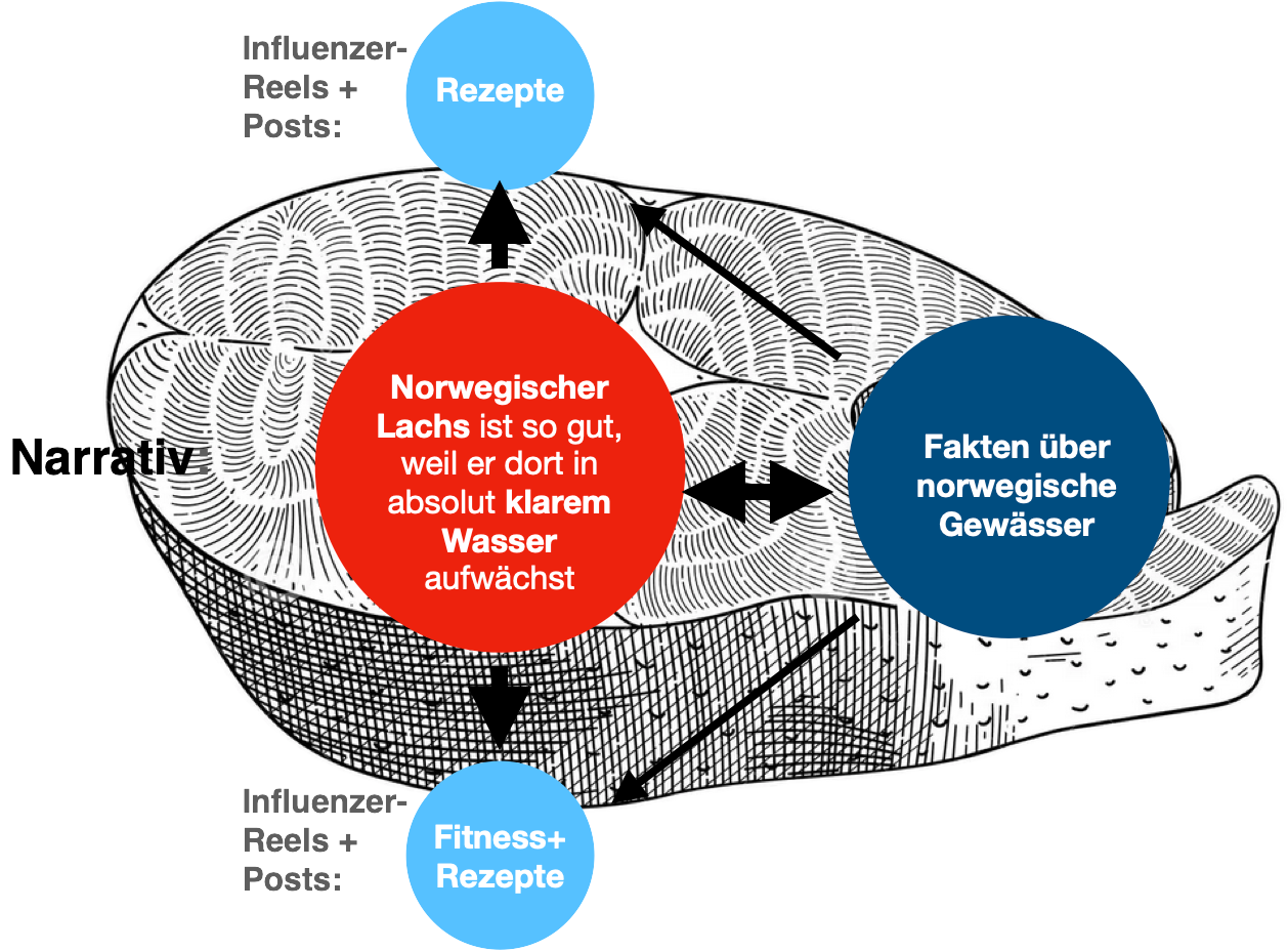 Diagramm für Social Meida Narrativen